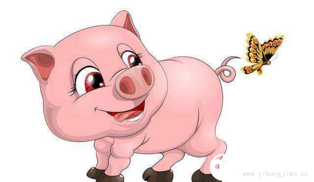 属猪O型血的性格特点 属猪O型血的男女性格特点 属猪O型血的性格特点 属猪O型血的男女性格特点